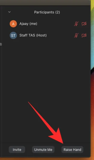 Si të ngrini dorën në zmadhimin