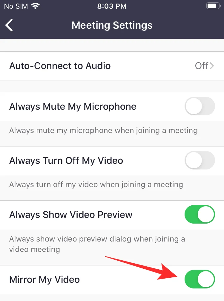 Kaj je Mirror My Video na Zoomu, kako deluje in ali ga morate omogočiti?