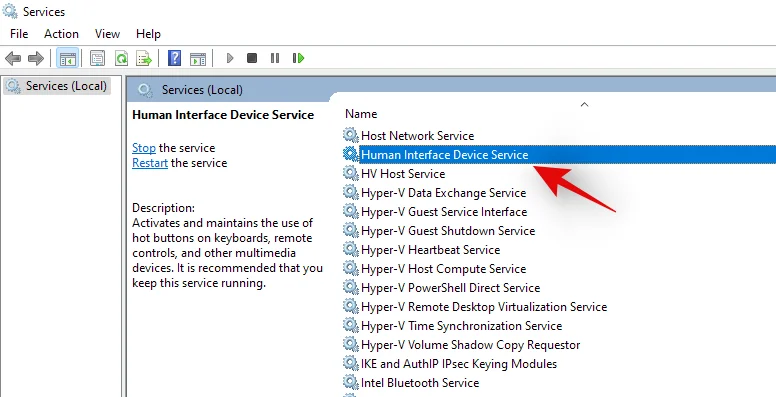 Bližnjice za prenosni računalnik ne delujejo v sistemu Windows 11?  Kako popraviti in zakaj se to dogaja
