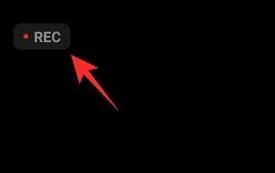 Snemanje v oblaku v Zoomu: vse, kar morate vedeti