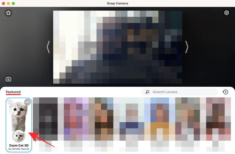 Zoom Cat Filter: Hur man får det, sätter på och stänger av det
