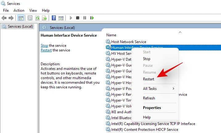Bližnjice za prenosni računalnik ne delujejo v sistemu Windows 11?  Kako popraviti in zakaj se to dogaja