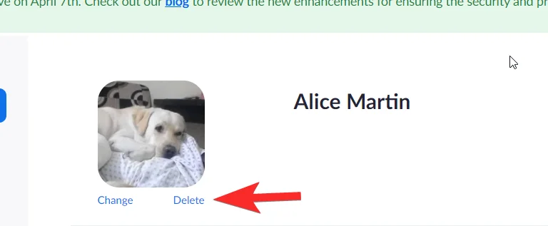 Kako odstraniti sliko profila Zoom v telefonu ali računalniku