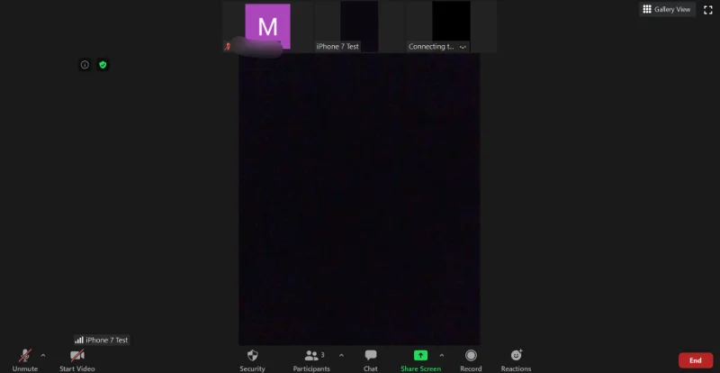 Kaj pomeni Pin Video on Zoom?  Ali vedo, če pripnete videoposnetek?