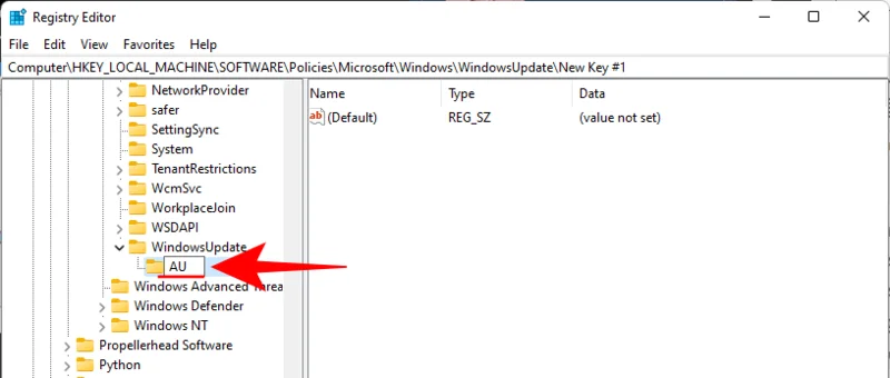 Kako onemogočiti posodobitve v sistemu Windows 11