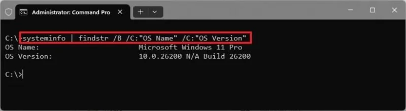 4 greiti būdai patikrinti „Windows 11“ versiją