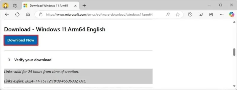 Kaip atsisiųsti „Windows 11 25H2 ISO“ failą, skirtą „arm64“ ir „Copilot+“ kompiuteriams