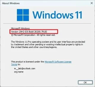 4 greiti būdai patikrinti „Windows 11“ versiją