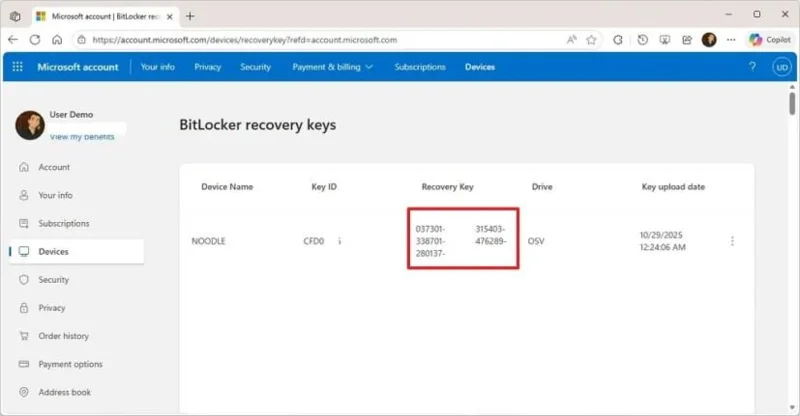 Kaip ištaisyti „BitLocker“ atkūrimo ekraną paleidžiant „Windows 11“