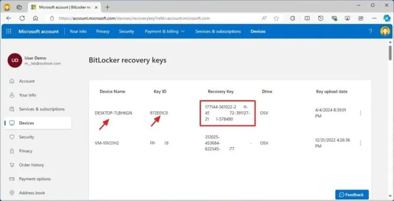 Kaip rasti „BitLocker“ atkūrimo raktą sistemoje „Windows 11“